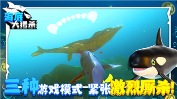 摩尔庄园网页版还有吗？探索摩尔庄园网页版的现状与未来发展