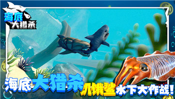 万国觉醒登峰造极排行K1，探索顶级玩家的策略与战术